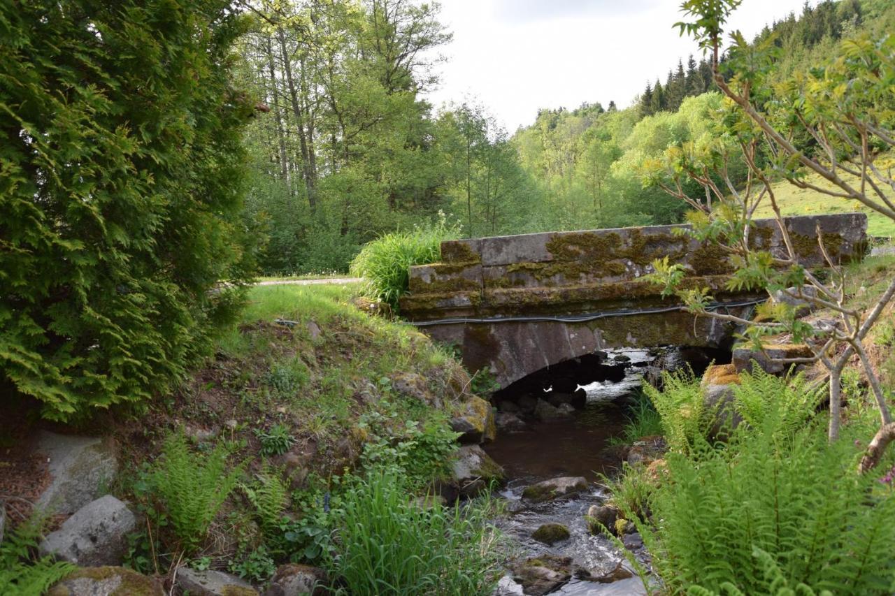 Vacance Conviviales Dans Les Vosges 8 Gites バン・ド・サプト エクステリア 写真