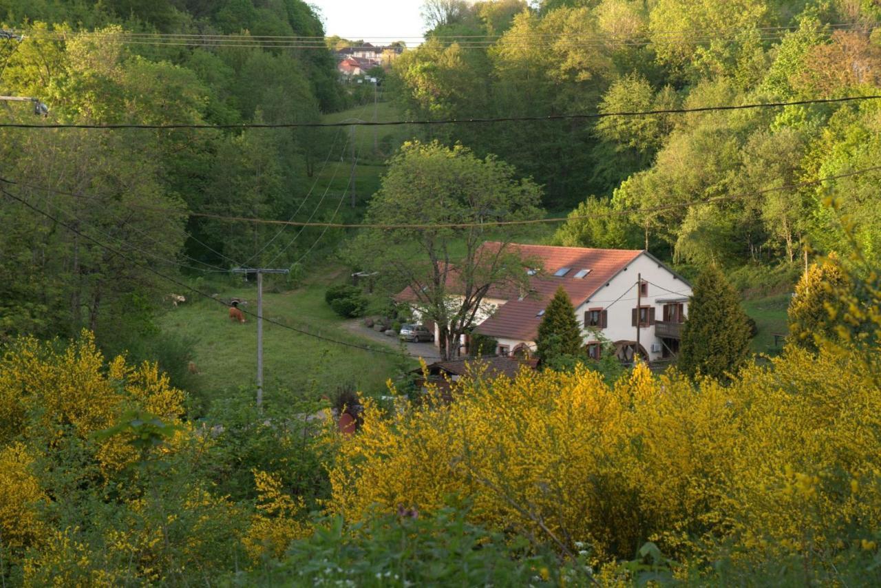 Vacance Conviviales Dans Les Vosges 8 Gites バン・ド・サプト エクステリア 写真