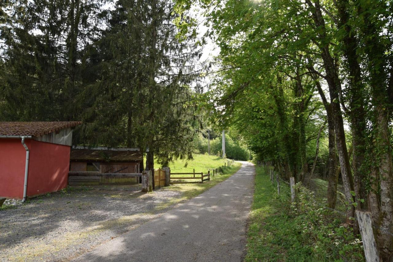 Vacance Conviviales Dans Les Vosges 8 Gites バン・ド・サプト エクステリア 写真